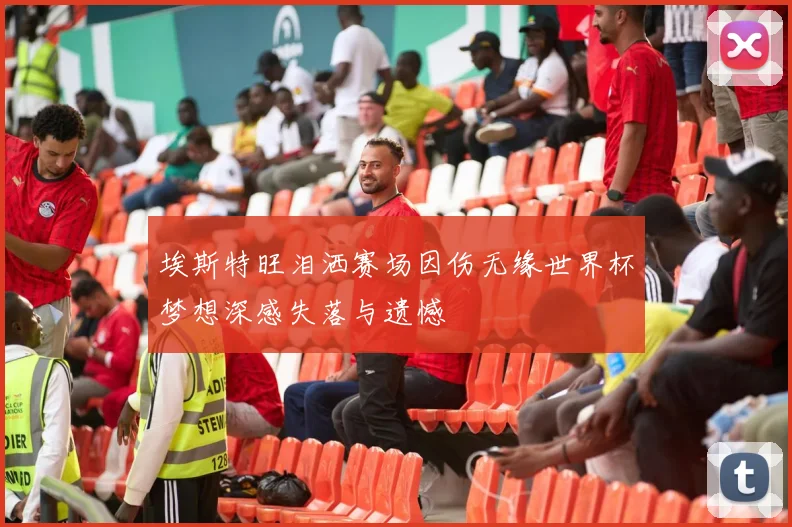 埃斯特旺泪洒赛场因伤无缘世界杯梦想深感失落与遗憾